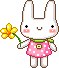 a flower... bunny not included