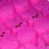 Pink Peeps