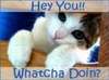 Hey you!! Whatcha doing?