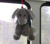 Elephant on a rope