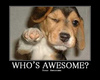 Your Awesome!
