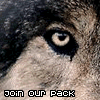 Join Our Pack