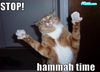 Stop Hammer time