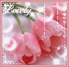 lovely pink flowers &lt;3