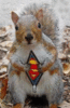 superpet!