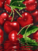 some fresh cherries for you~