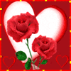 Sum Love Roses just4U