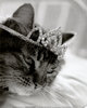 A Princess Tiara