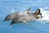 A Swim with the Dolphins!