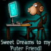 Sweet dreams to my puter friend