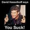 Hasselhoff says you suck!