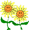 Sunflowers for your page