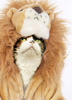 a lion costume