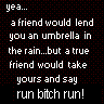 Run bitch run,lol