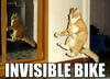 Invisible Bike Cat