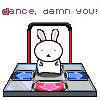 Bunny Dance :]