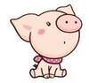 Piggy ~