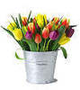 Spring Tulips.. Just for you