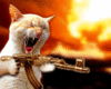 kitty with bonus machine gun