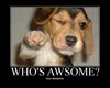 WHO'S AWSOME