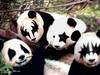 Kiss Band Panda