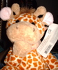 A Stuffed Giraffe