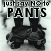 *NO PANTS DAY* :) Rawrrr