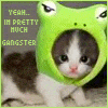 Cat with cute frog helmet~