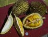 DURIAN king of all fruits