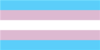 Transgender Pride Flag 
