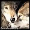 Gently Loved ♥
