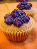 blueberry cupcakes