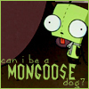 Mongoose Dog