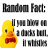 Random Fact: