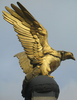 Golden Eagle Favourite Pet Award
