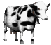 Have A Cow