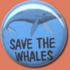 Save The Whales Pin