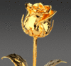 Gold Dipped Rose