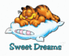 ~Sweet DreamZzzz~