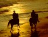 Horse Ride on the Beach