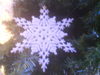 Snowflakes~