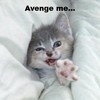 avenge me!!