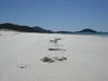 walk on the beach