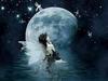 Night Fairy 