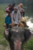elephant ride..