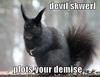 Devil squirrel plots your demise