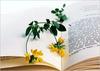 Leaving a flower on your book 