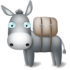 donkey