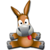 Another donkey 