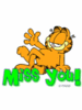Garfield - Miss you!